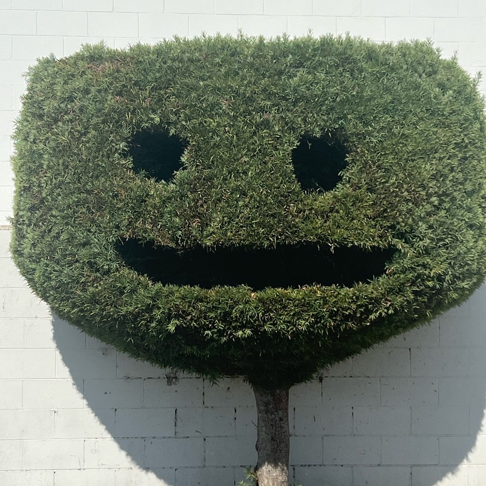 Meet your Posher, Green Bro